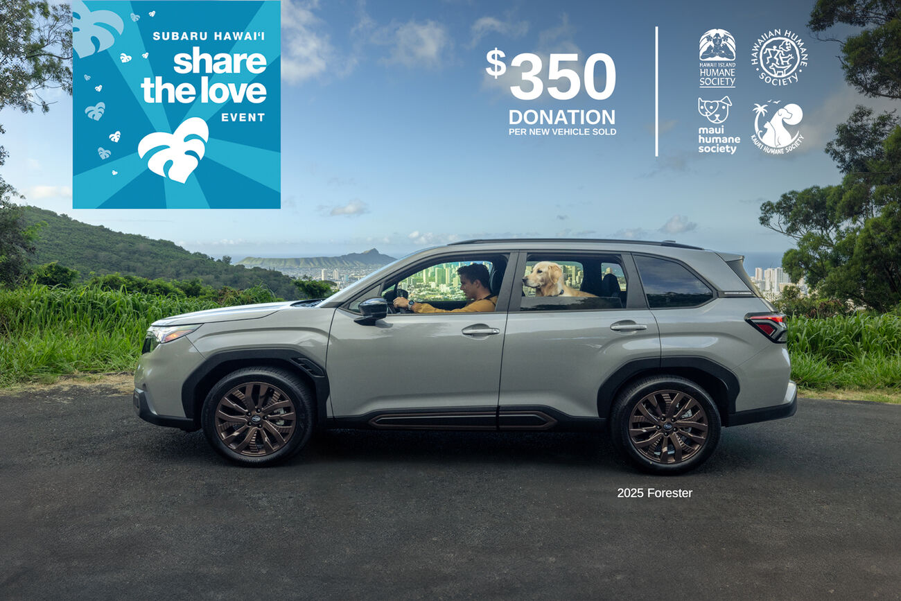 Man and his golden retriever sitting in a Subaru Forester parked, overlooking Downtown Honolulu.