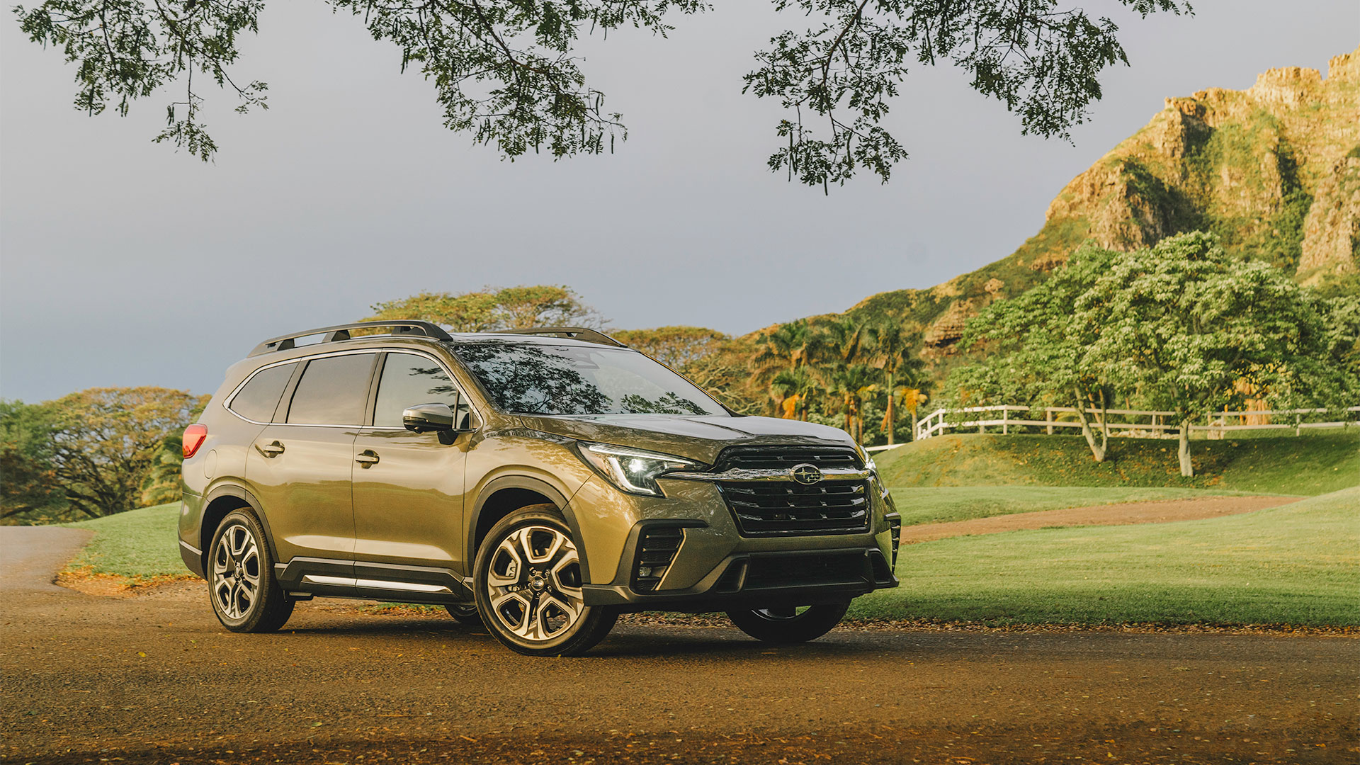 Asent Premium 8-Passenger