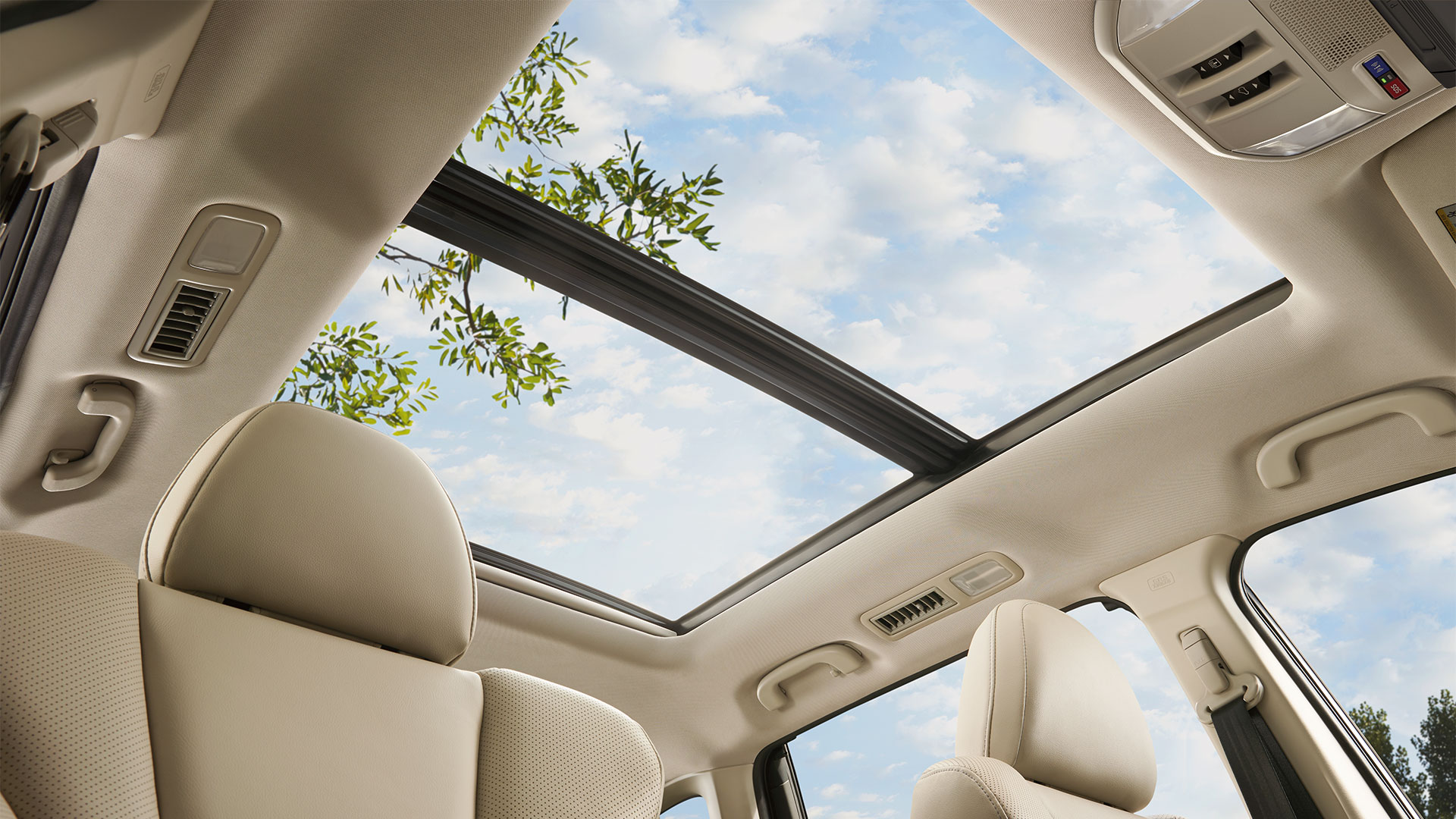 Moonroof looking outwards