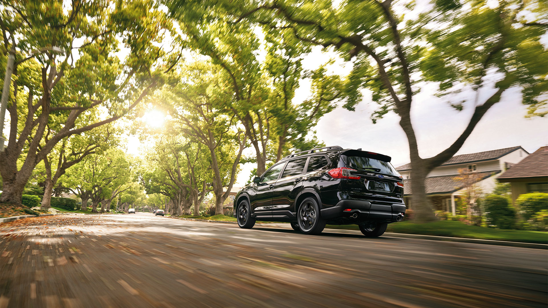 Onyx Edition Touring 7-Passenger