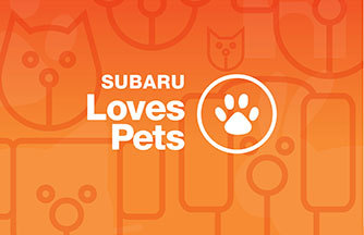 Loves Pets Loves Pets